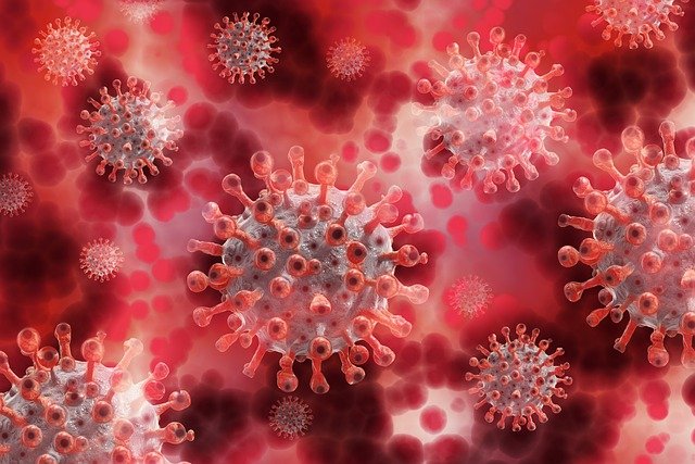کرونا وائرس نے پھر شدت اختیار کر لی، مثبت کیسس کی شرح پھر 6 فیصد سے تجاوز