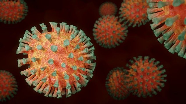 کرونا وائرس، گزشتہ 24 گھنٹوں میں مزید 65 ہلاکتیں