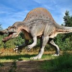 dinosaur-640x480