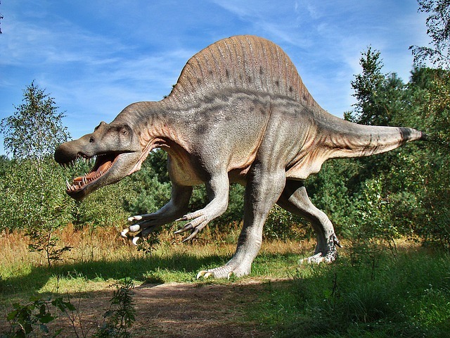 dinosaur-640x480