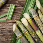 sugarcane crop