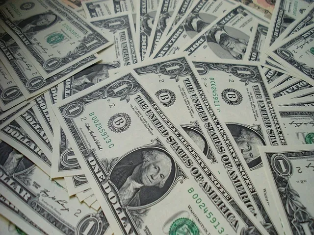 US Dollars in Bulk Photo File 640x480